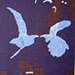Kazu Wakita Gallery